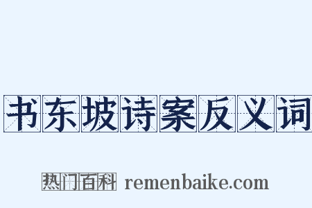 书东坡诗案反义词是什么意思的图片
